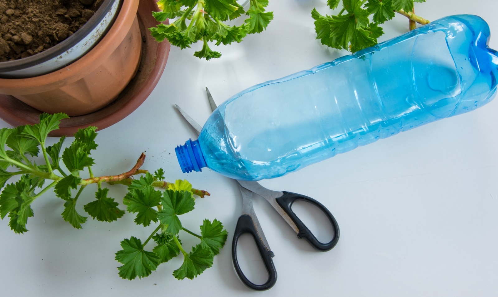 reciclado-botella-de-plC3A1stico-de-jardinerC3ADa-vista-superior-de-la-botella-de-plC3A1stico-lista.jpg_s1024x1024wisk20cVZBmVSHEoS7_LgqesVWfhHCWKkJLdFIg-3AAqLld7hI
