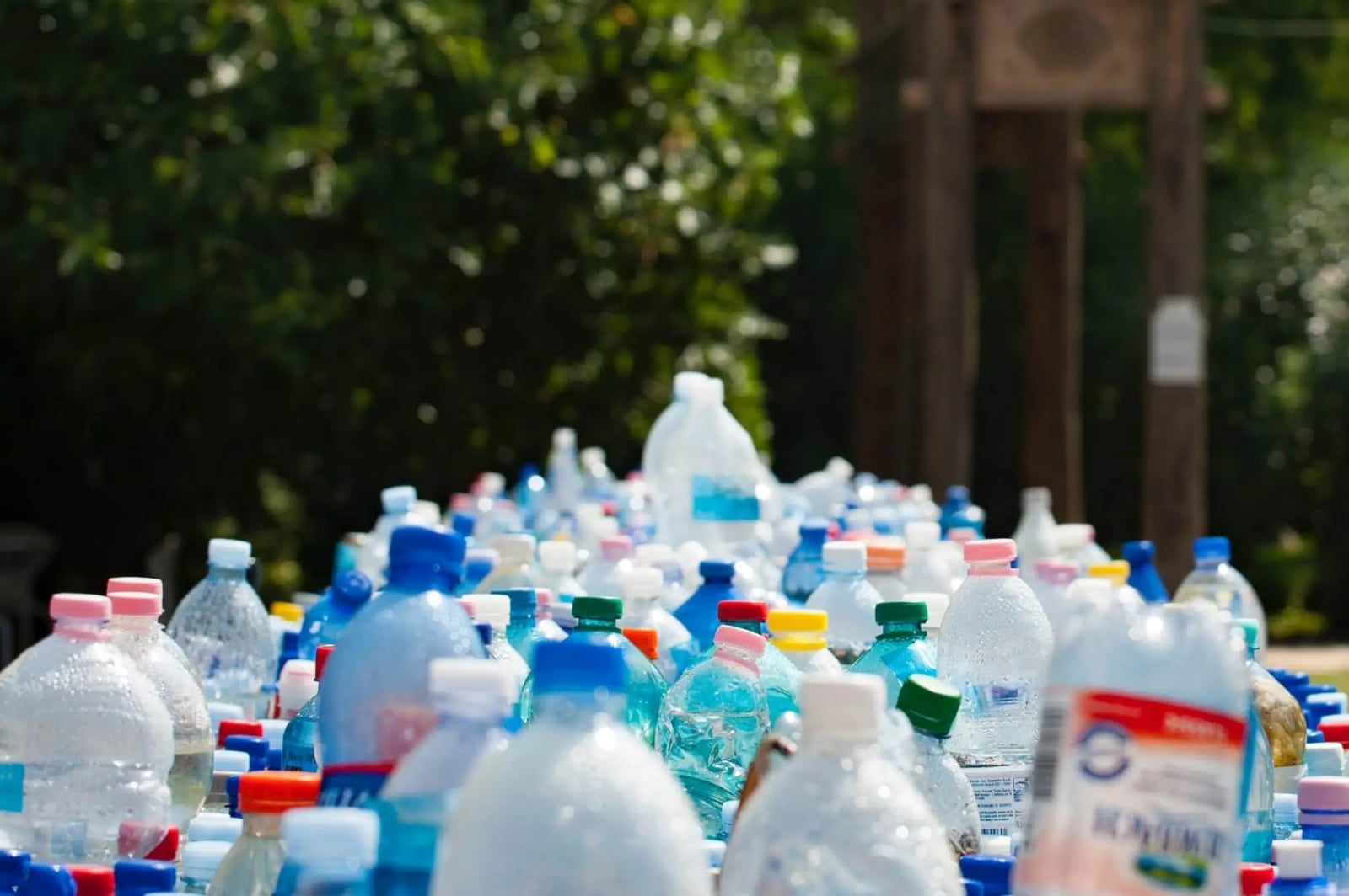 assorted-plastic-bottles-802221-scaled