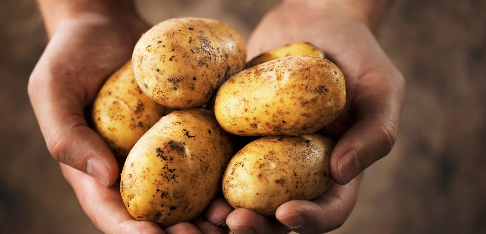 Papas-con-cuero