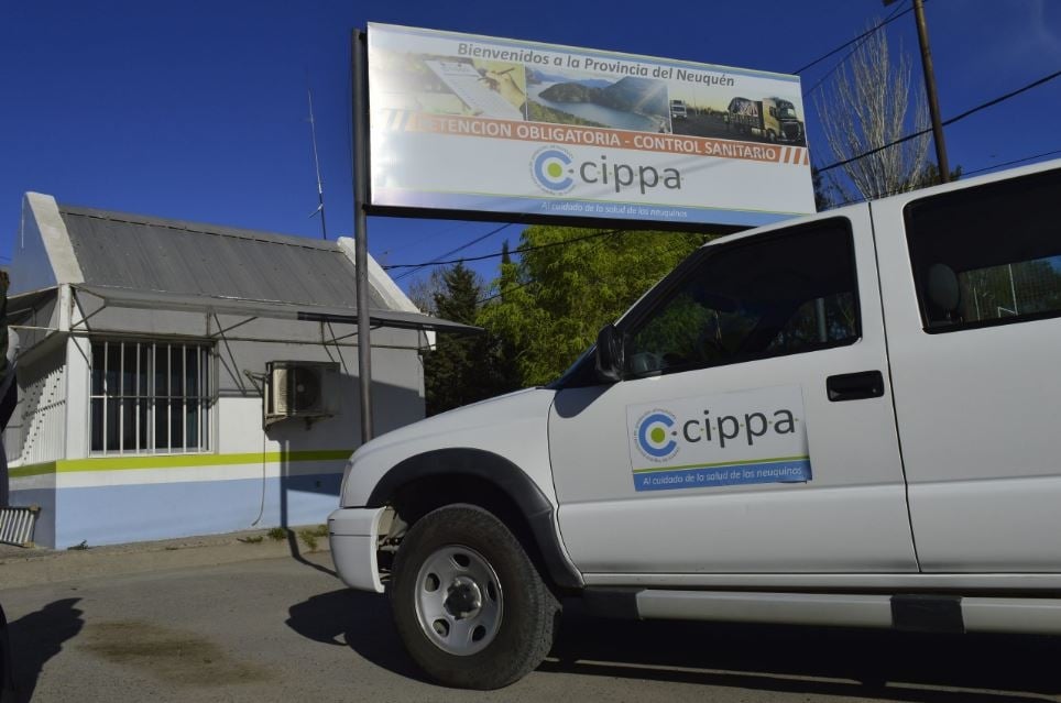 cebollas cippa