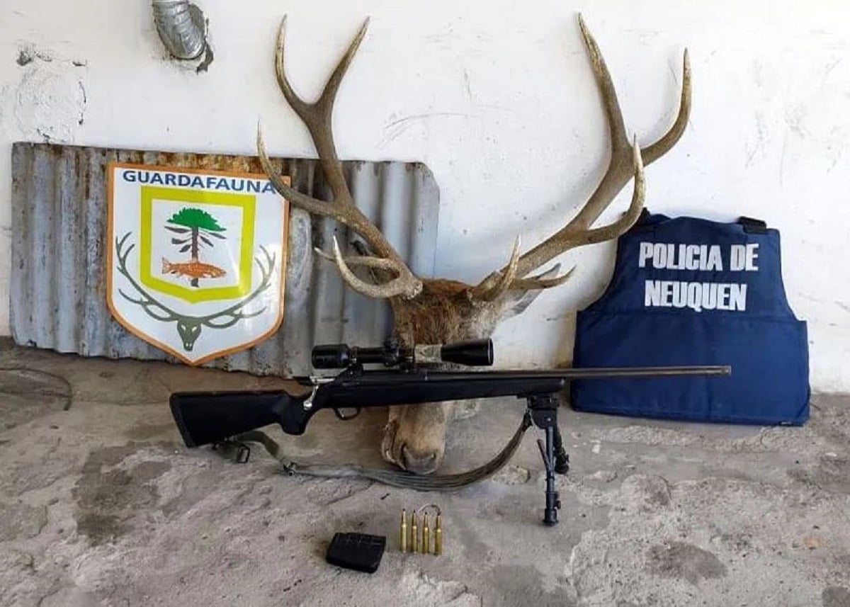 caza furtiva RSM