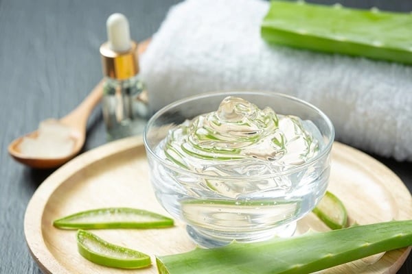 aloe vera2