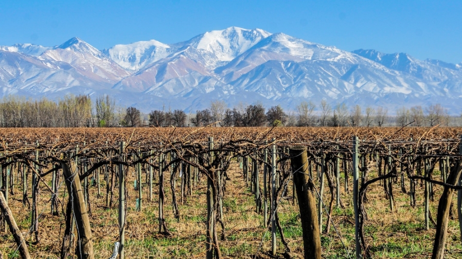 mendoza