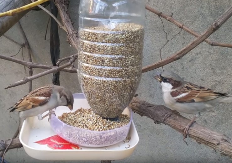 comedero-para-pajaros