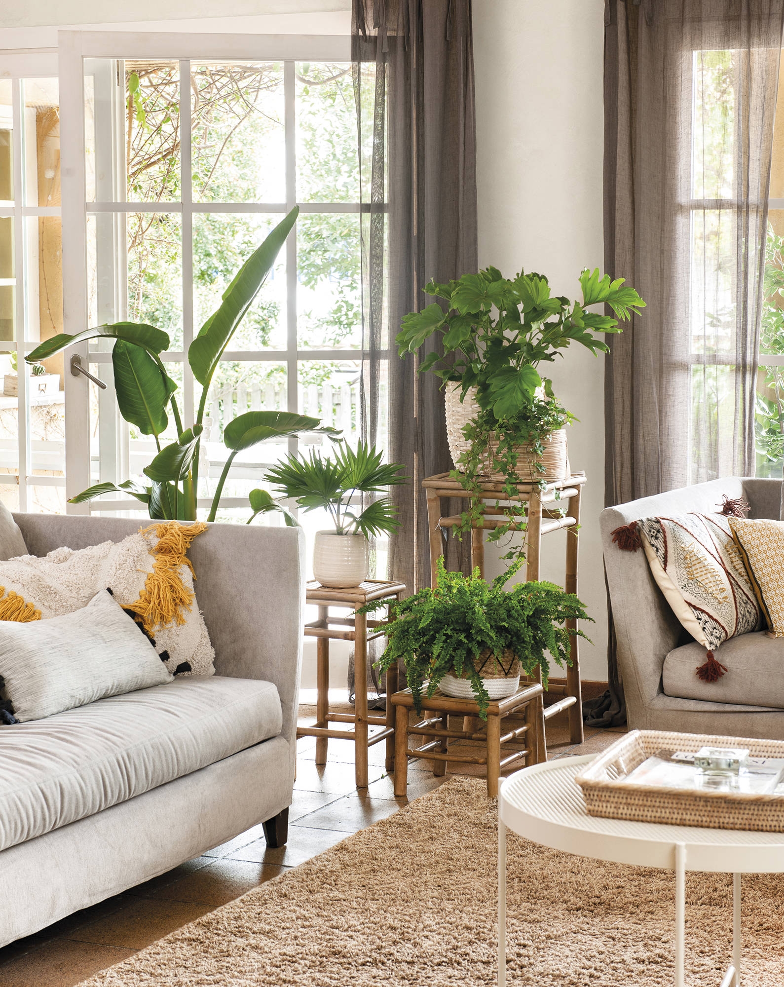 plantas-en-altura-entre-sofas-00506938_00000000_56fa4a6b_221208223158_1589x2000