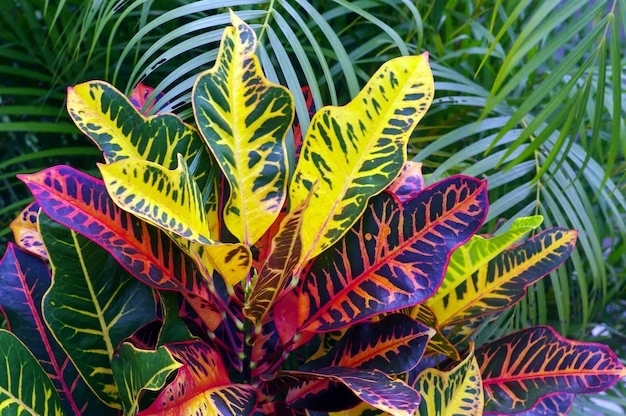 croton-codiaeum-variegatum-uma-planta-de-casa-popular-com-muitas-variedades-e-devotos_358675-656