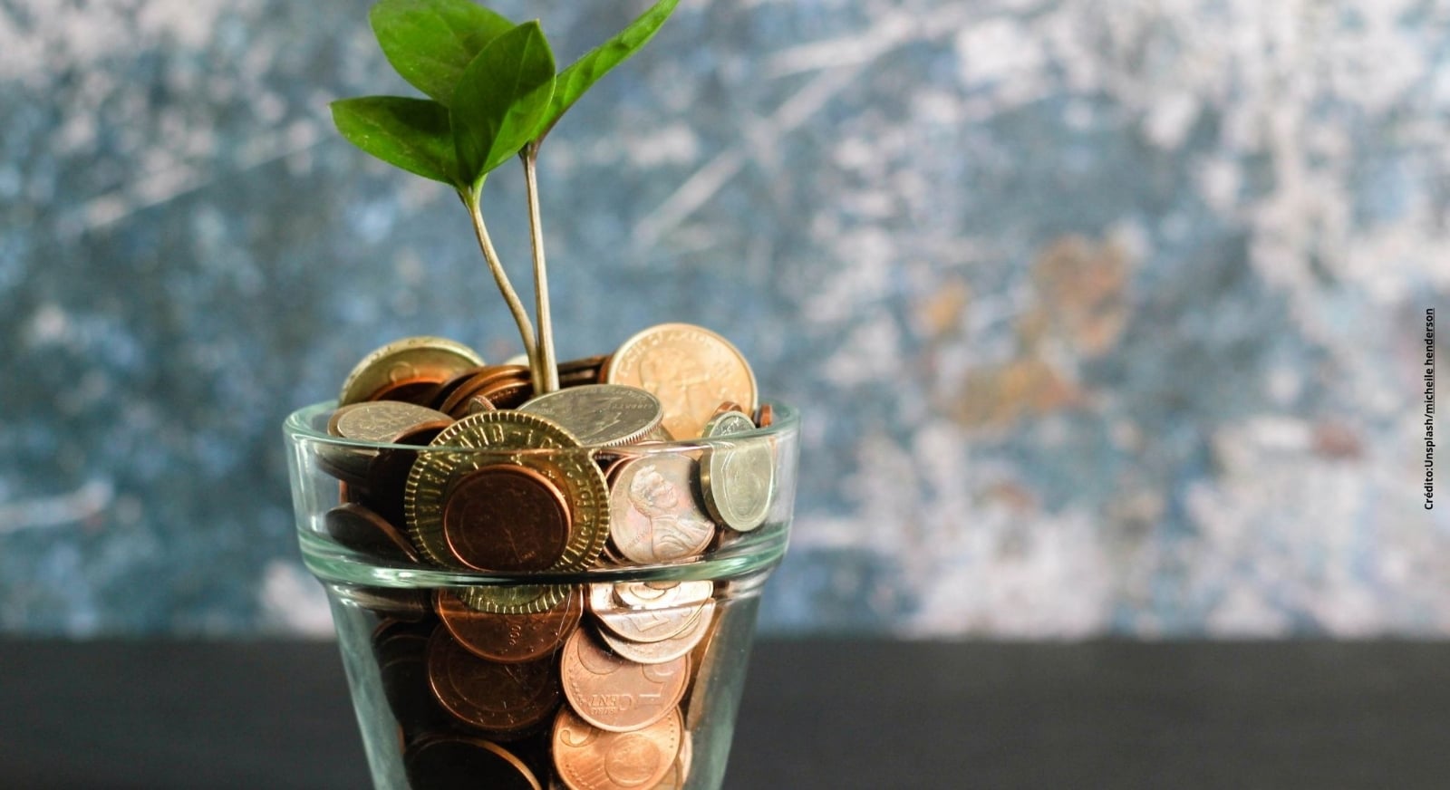 donde-debes-poner-la-planta-de-albahaca-para-atraer-el-dinero-segun-el-feng-shui