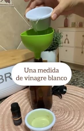 vinag66