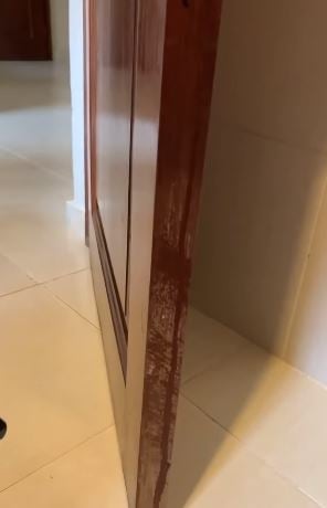 puerta33