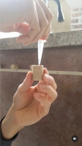 Palo de escoba 4