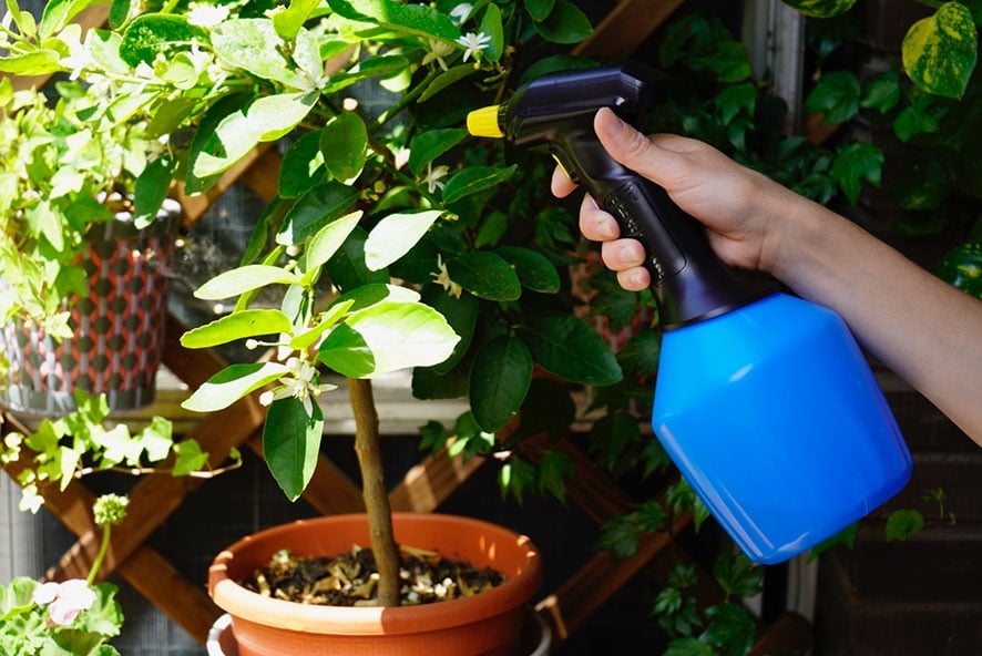 pulverizador-electrico-de-jardin-matabi-e1