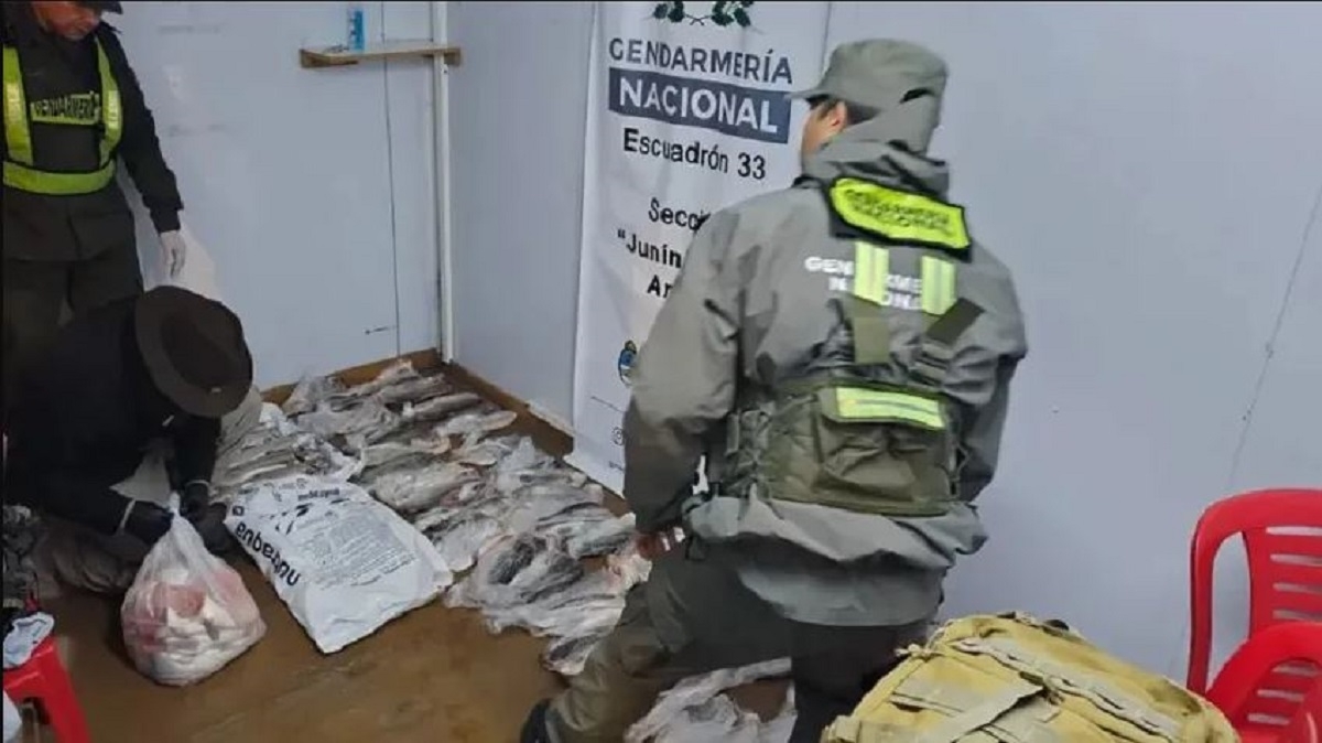 pesca ilegal RSM