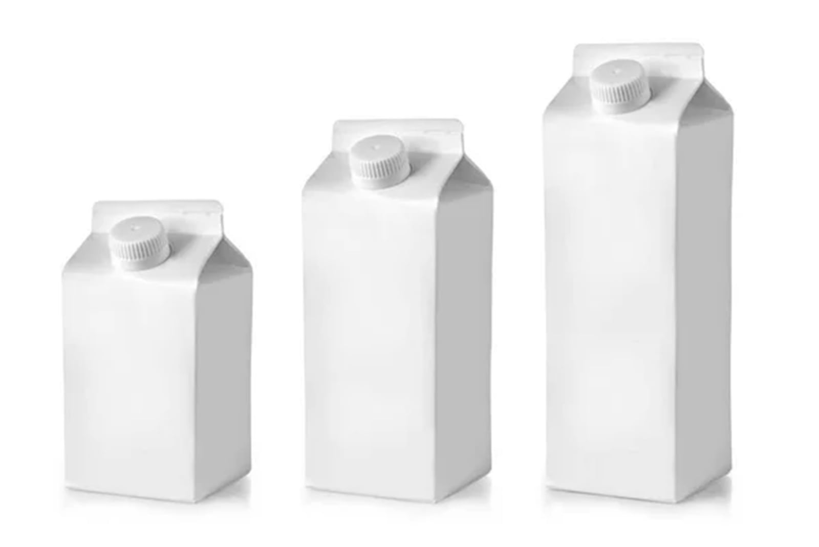 depositphotos_222294336-stock-photo-carton-milk-carton-package-isolated