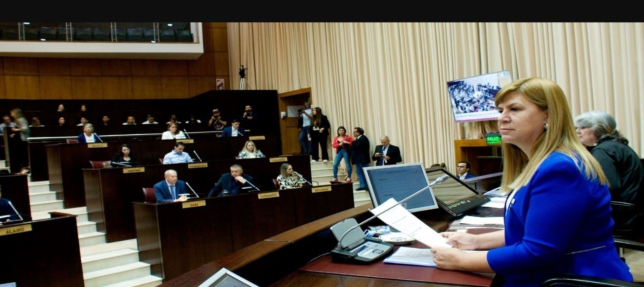 dario martínez legislatura nqn2