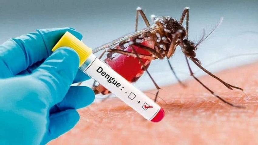 dengue 3