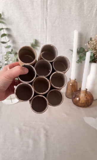 rollos de papel higiénico3