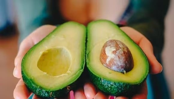 Palta 2