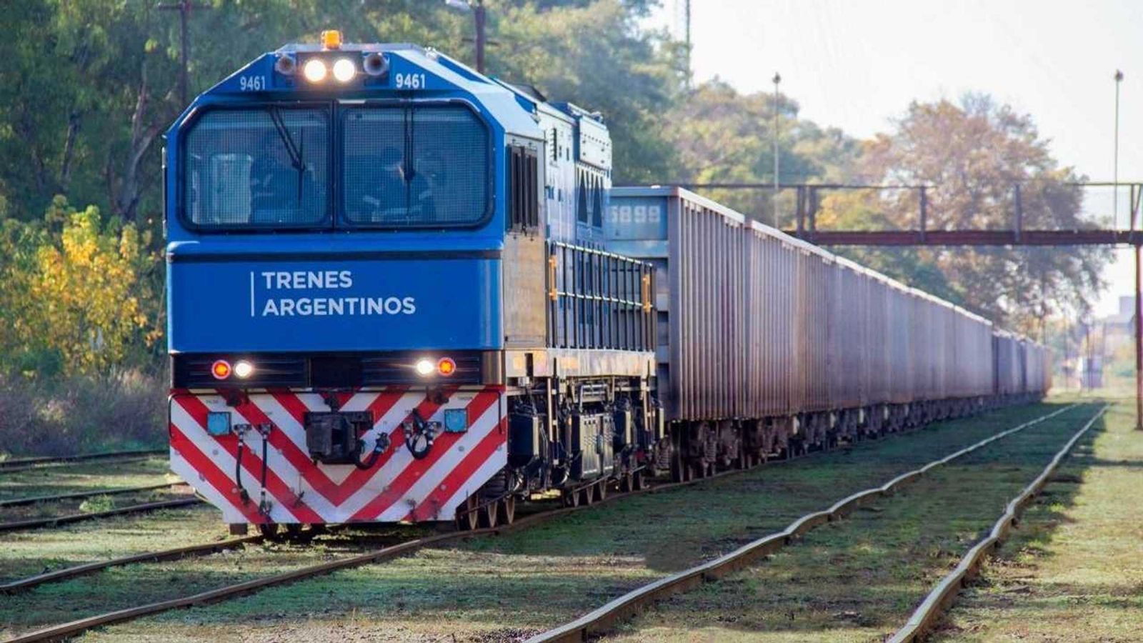 despidos
