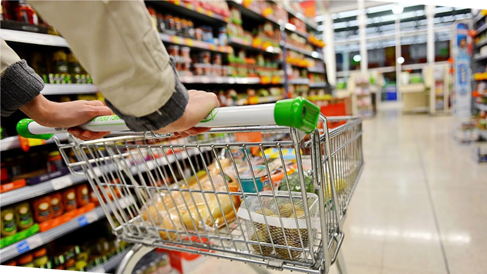 alimentos 1
