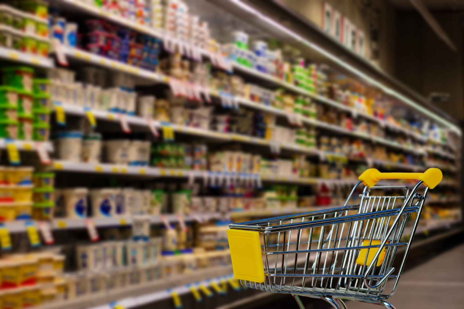 alimentos