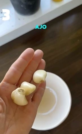 ajo6655