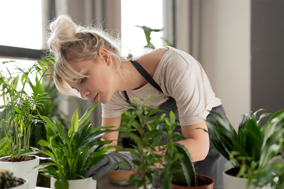 Cuidados-y-trucos-para-tener-plantas-en-casa