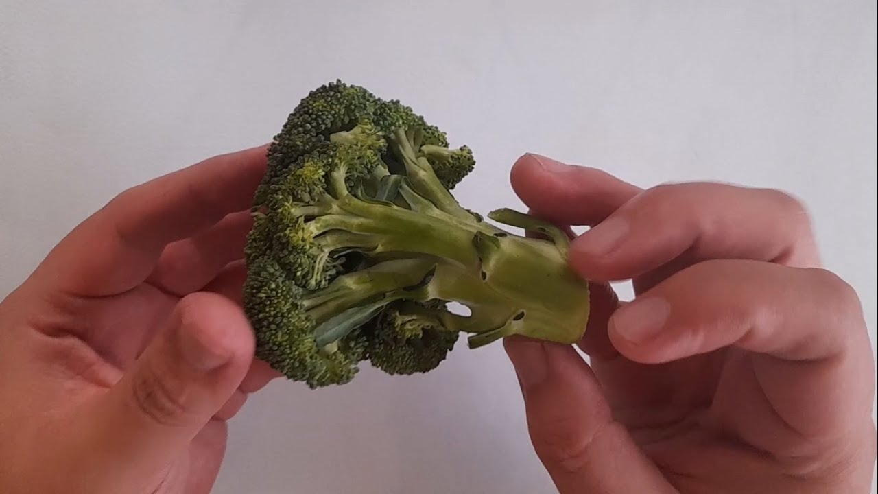 brócoli1