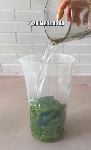 agua655