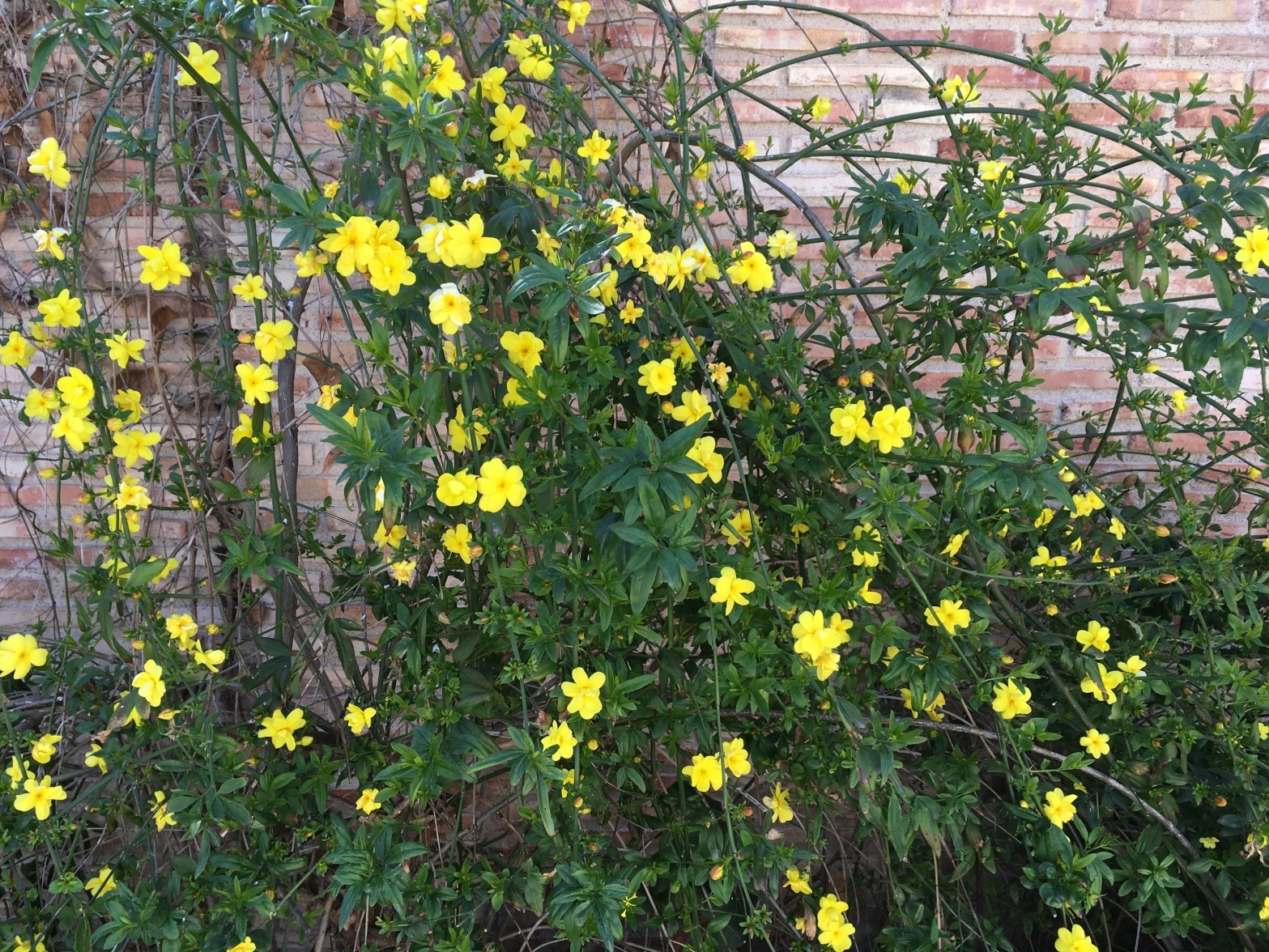 AnyConv.com__img_1150