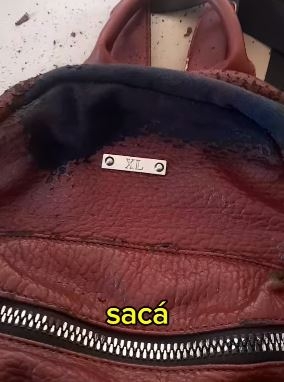 CUERO544