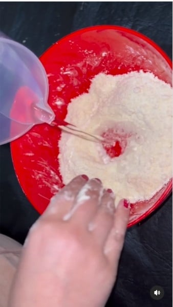 Palmeritas 4