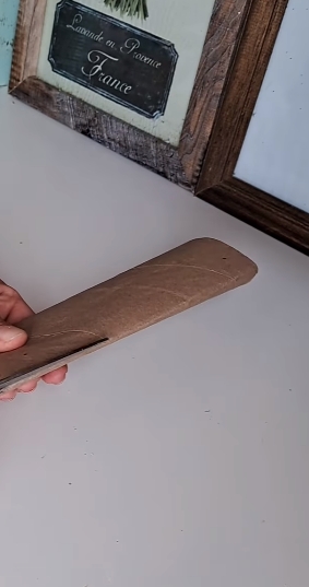 rollos de papel de cocina1