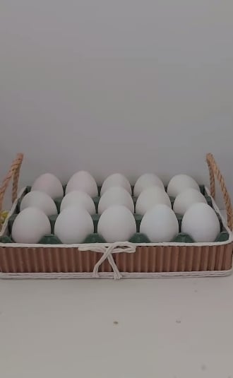 Maples de huevos1