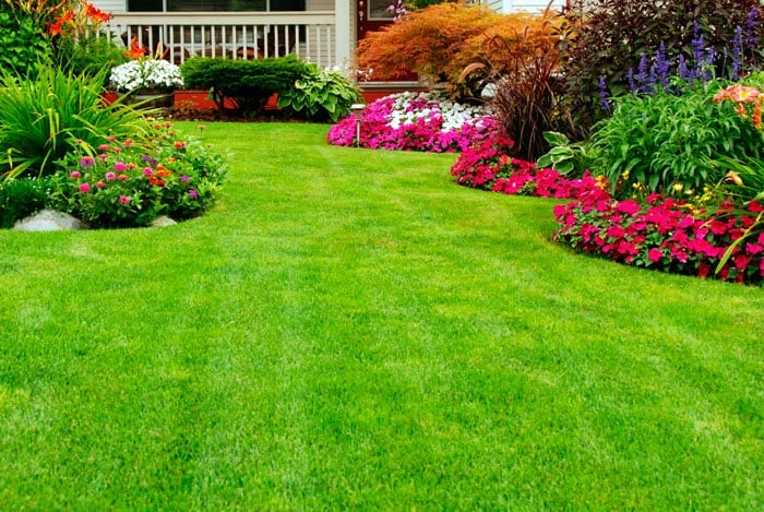 jardin-con-cesped-en-verano