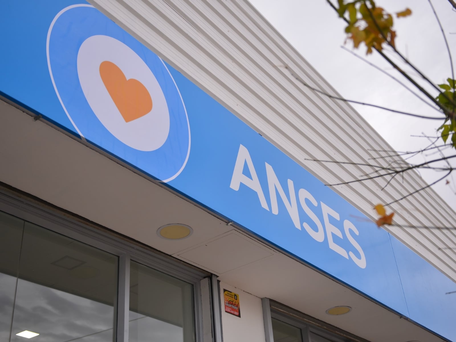 ansess