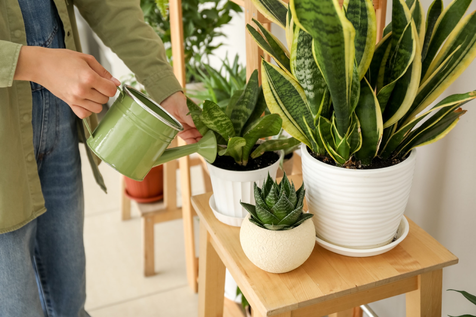 AdobeStock_534993557-scaled