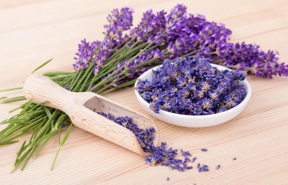 lavanda 3