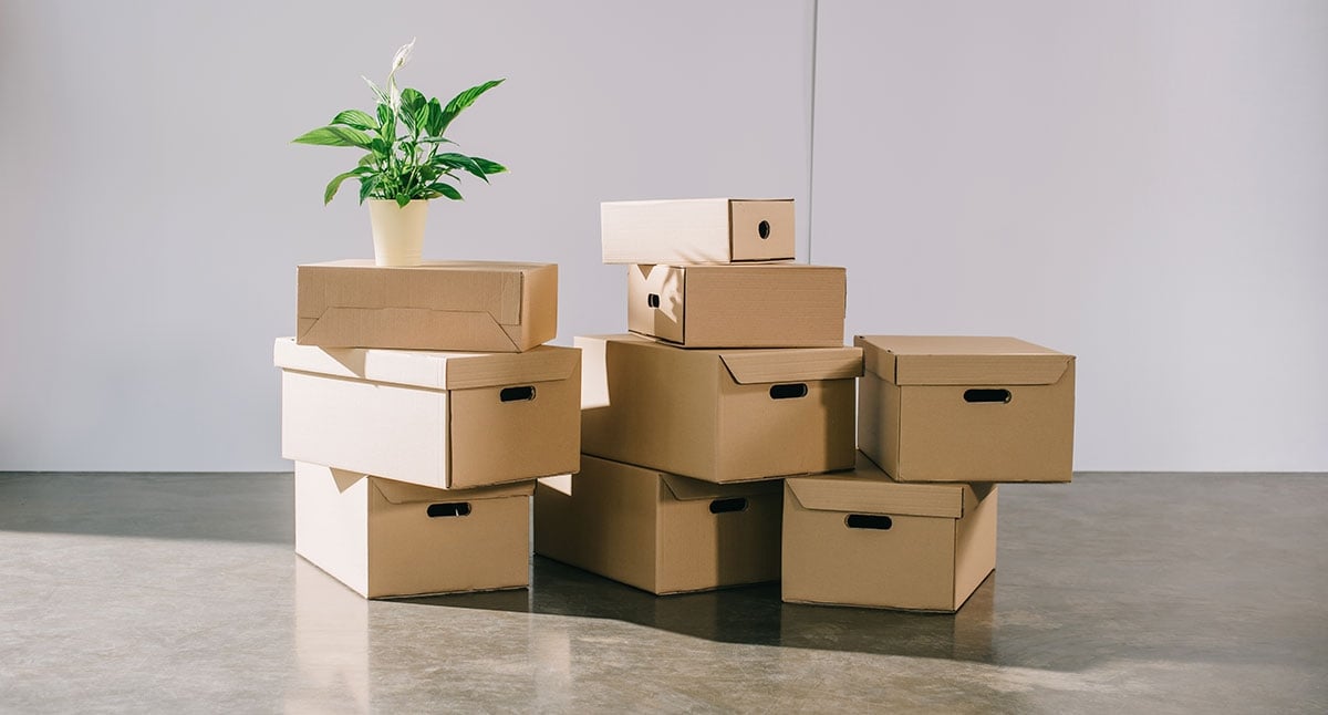Cajas de cartón