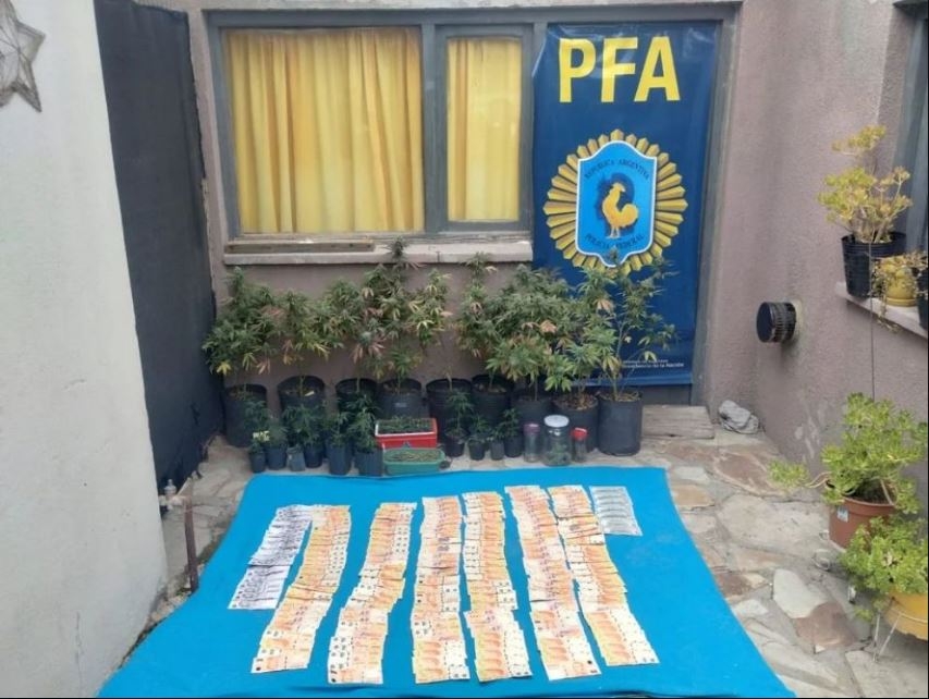 pornografía infantil la montaña3