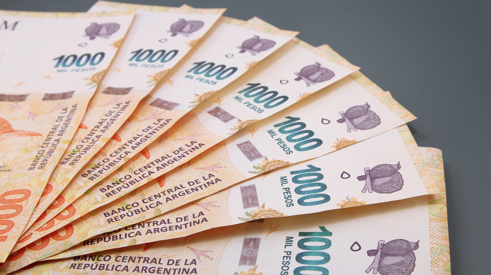 ayuda_escolar_anual_anses_auh_suaf_te_puede_interesar_1