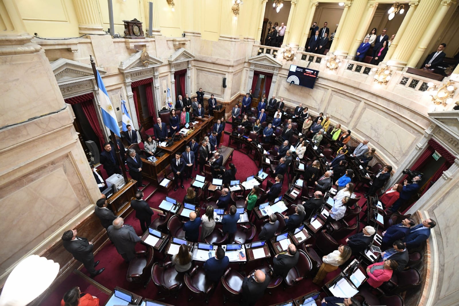 senadores 1