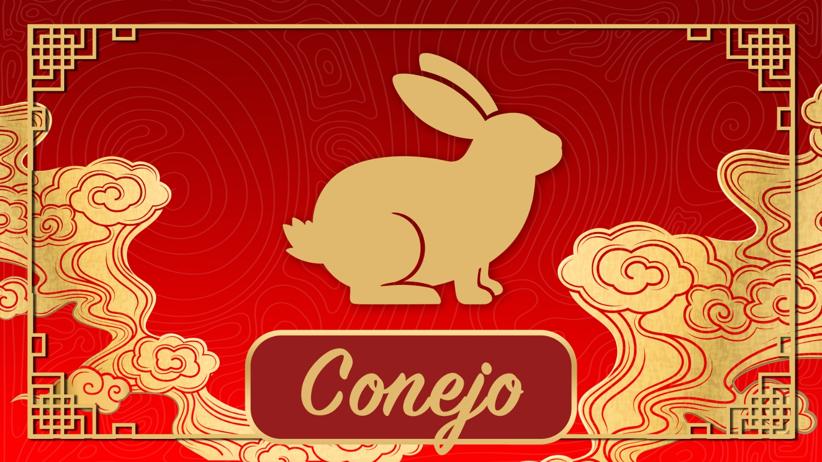 conejo0033