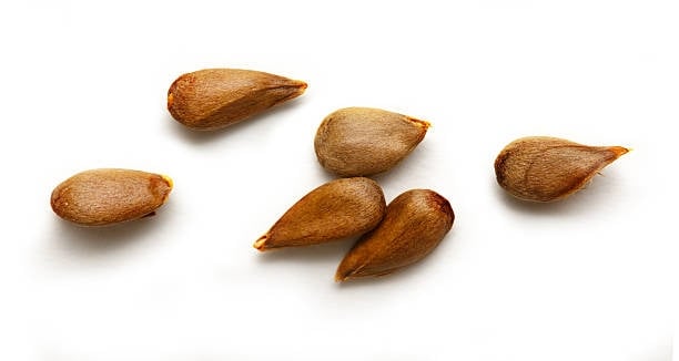 manzana 2