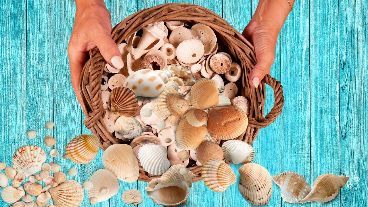 Caracoles