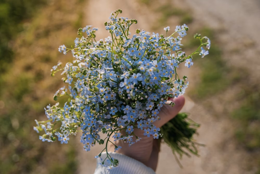 flores 4