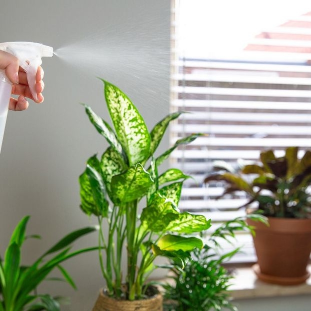 bigstock-female-hand-spraying-water-on-401146211_1_621x621