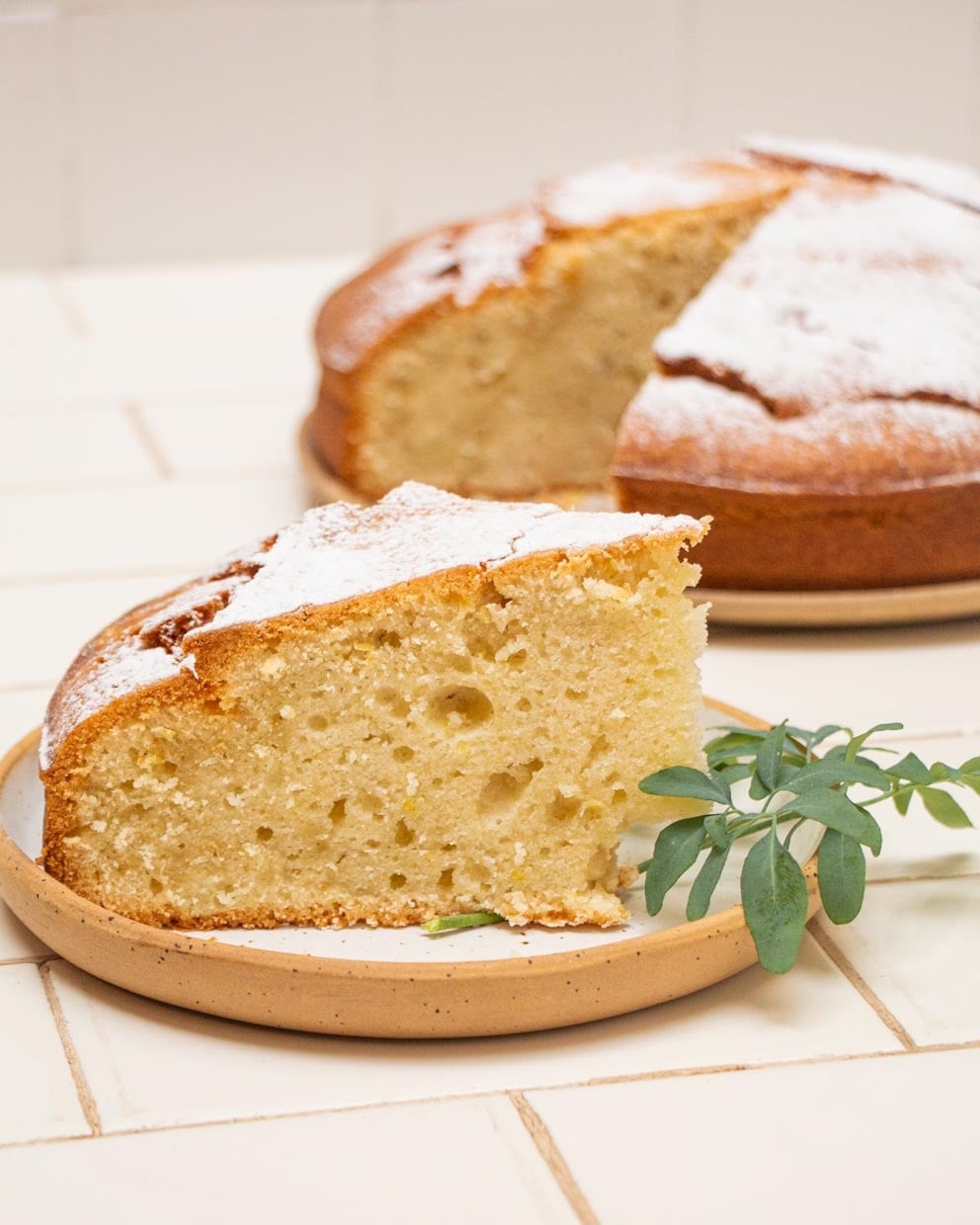 torta matera 2