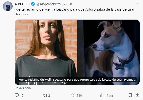 brito8888