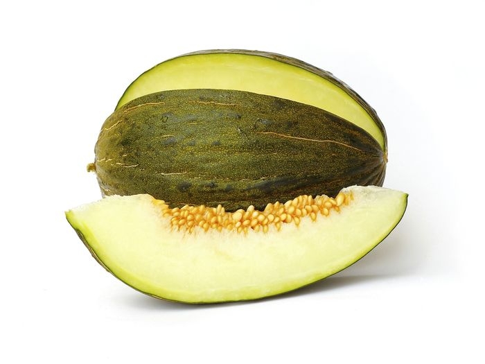 melón4