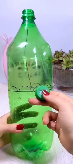 botellas plásticas4